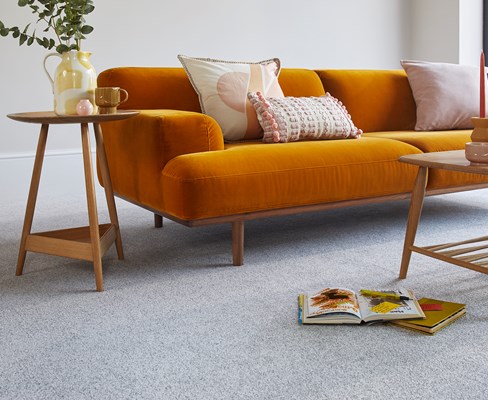 apollo Carpets , Carpets flooring