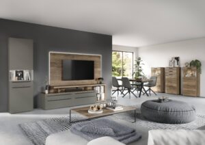 Living Room Media walls